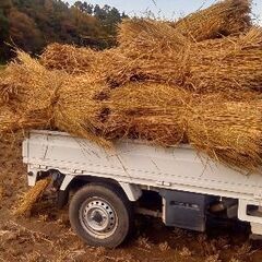 藁束　令和7年産　17束軽トラ1台の画像