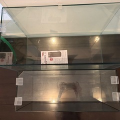 エーハイム2213  水槽セット の画像