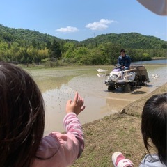 令和7年産あきさかり　玄米　東広島市産　の画像