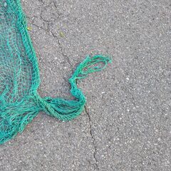 防球ネットの画像