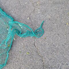 防球ネットの画像