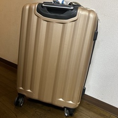dejuno　キャリーケースの画像