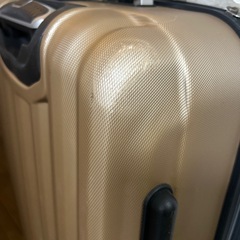 dejuno　キャリーケースの画像