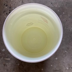 ペール缶10缶 20Lの画像