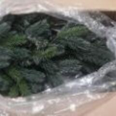 クリスマスツリー ✰ 条件ありで500円引き(基本12月末までお値下げ不可)の画像