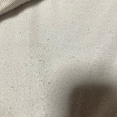 かわいいトレーナー
の画像