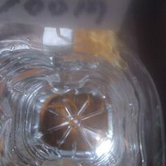 ボトル入りメダカ(5匹)3ボトル追加品出ししました。の画像