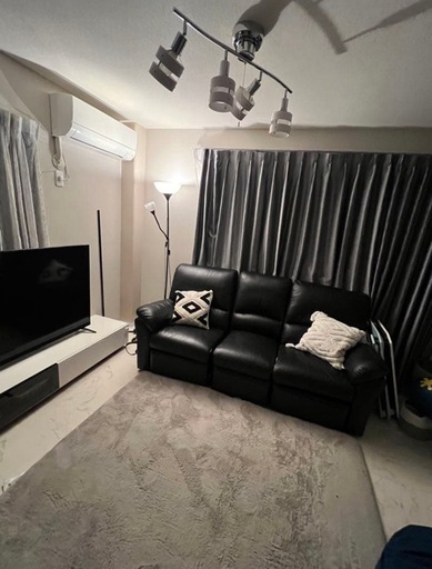 ニトリ　電動リクライニングソファー