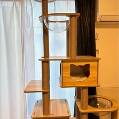 キャットタワー の画像
