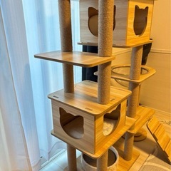 キャットタワー の画像