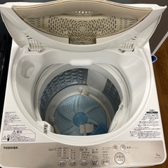【安心の6ヶ月保証】 TOSHIBA の全自動洗濯機の画像