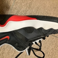 受付終了。ミニバスセット　ボール3つ＆NIKEバッシュ25.5cmの画像
