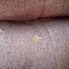 座椅子　可動式　ローチェア　の画像