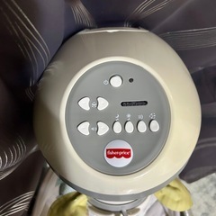 アメリカバウンサーの画像