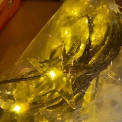 STEイルミネーションの画像