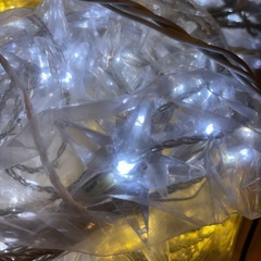 STEイルミネーションの画像