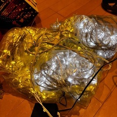 STEイルミネーションの画像