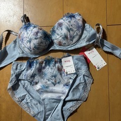 新品タグ付き！ブラショーツ上下セット ５点セット！B65/M 定価五万の画像