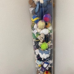 ぬいぐるみ 1体500円の画像