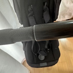 サイベックス　メリオカーボンの画像