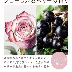 【5袋】Diane ダイアン　シャンプー パーフェクトビューティ エクストラストレート 詰替え用  大容量の画像