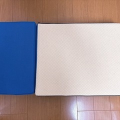 【これが最低価格！！1/18までの掲載
】ドックステップ　メッシュタイプ　中古品　PetStyle  ブルーの画像