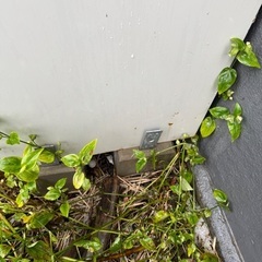 保管庫(小)の画像