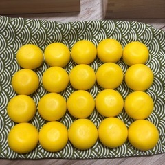 トイズアカデミー幼児教室
の画像