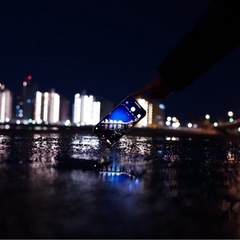 カメラ仲間募集