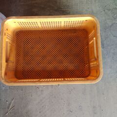 ハーフコンテナの画像