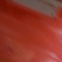 クリアケースの画像