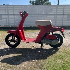 ホンダ　スカイ　後期　セル付きの画像