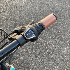 20インチ　折りたたみ自転車　美品　ギア付き　フォルクスワーゲンの画像