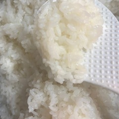 2.【令和7年】新米⭐︎新之助の中米　玄米30kg を精米してお渡しします⭐︎複数購入も可能✴︎✴︎✴︎玄米でのお渡しも可能 ✴︎✴︎✴︎✴︎✴︎✴︎  の画像