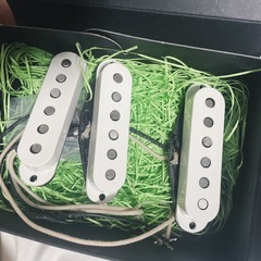 evertonePU エバートーンピックアップの画像