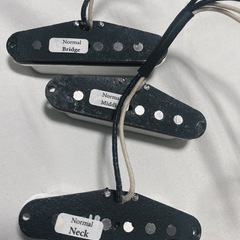 evertonePU エバートーンピックアップの画像