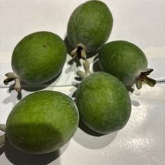 【限定】家庭菜園　果物3種セット　旬の果物を少しずつ★お試しに★
の画像