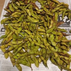 丹波篠山黒枝豆の画像