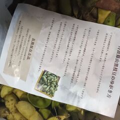 丹波篠山黒枝豆の画像