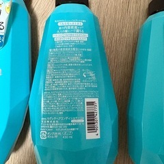 セグレタ　コンディショナー
の画像