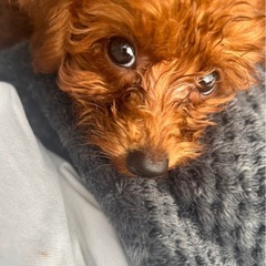 大切にしてくれる方⚠️リターンは受け付けれません