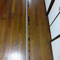 釣り具　玉の柄の画像