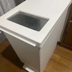ゴミ箱 45L ペダル の画像