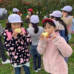 お店では絶対に買えないリンゴ　「スリムレッド」の画像