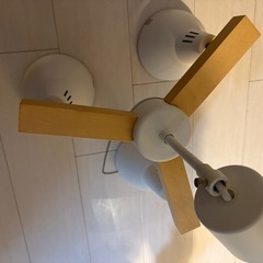 ニトリ スポットライトボレロの画像