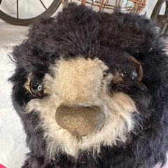 ドイツ ヴィンテージ テディベア ブラックの画像