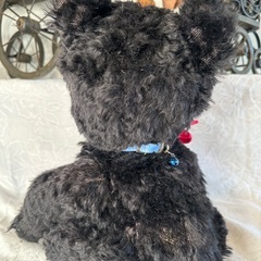 ドイツ ヴィンテージ テディベア ブラックの画像