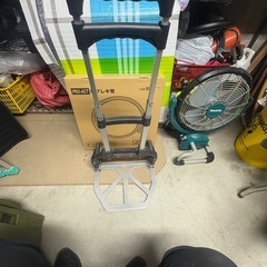 キャリーの画像