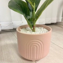 11月20日まで【美品】フェイクグリーンの画像