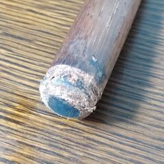 のみ　ノミ　14mm（21cm位）の画像